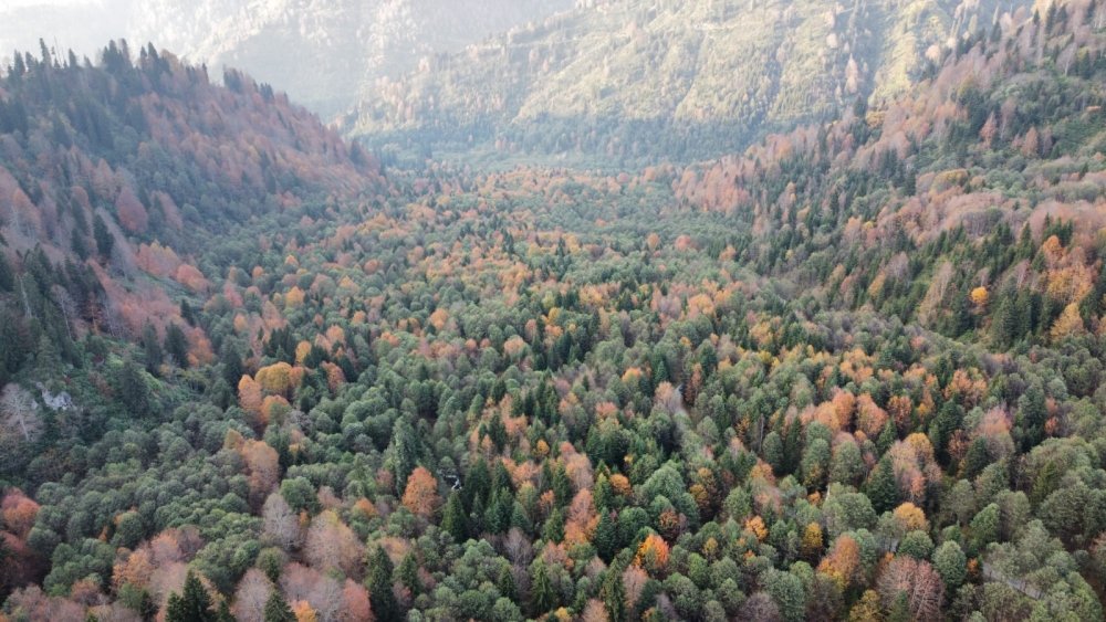 Borçka Karagöl’den sonbahar manzaraları