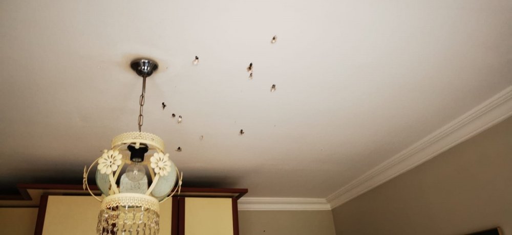 Tekirdağ'da bir ev kurşunlandı