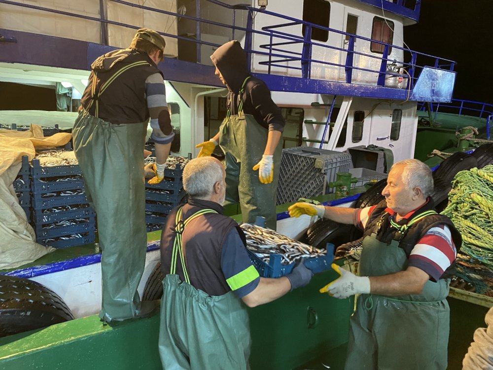 Karadeniz’de hamsi bereketi