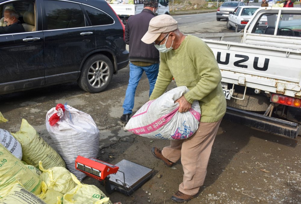 Üretici bu kez çay tohumu için bahçeye girdi