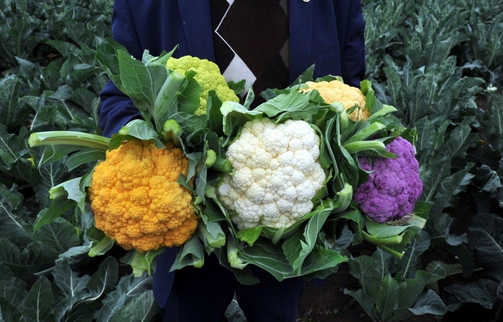 Karnabaharlar renklendi, talebe yetişemiyorlar