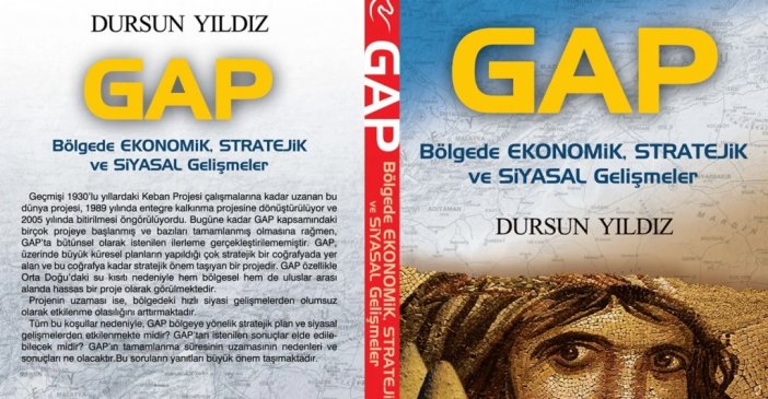 gap2.webp