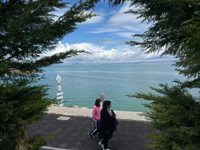 69f45f664379e554-w1200xh900.webp
