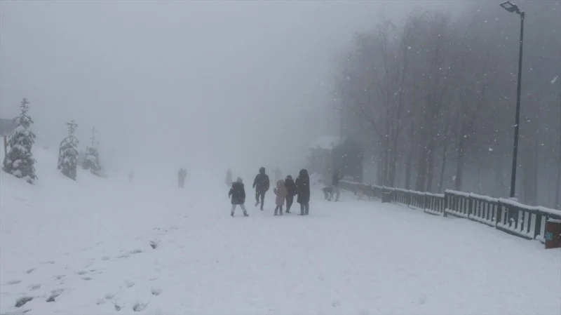 69f5ca4f3d5a5645-w1200xh674.webp