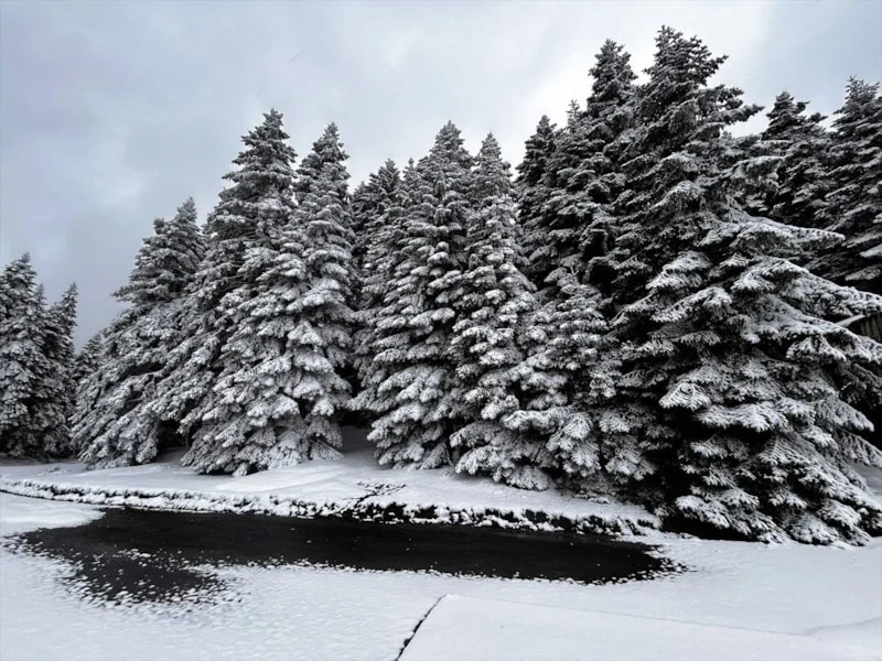 69f5ca75ce2e3481-w1200xh900.webp