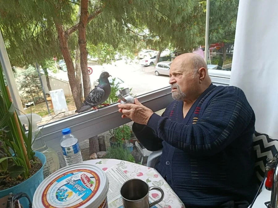 90-yasinda-2-bacagi-protez-ama-besl-vluk.webp
