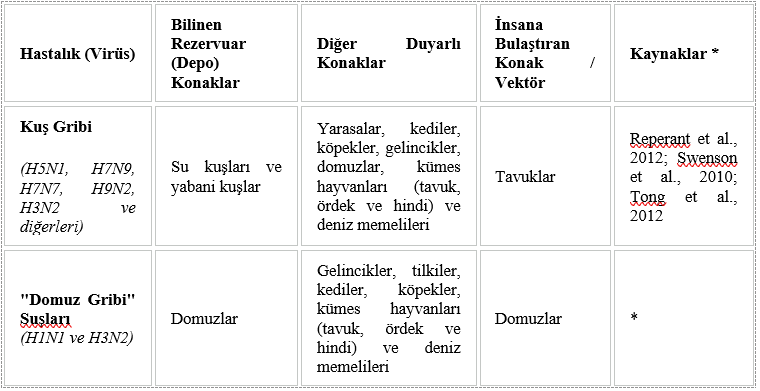 ekran-goruntusu-2026-07-05-200259.png