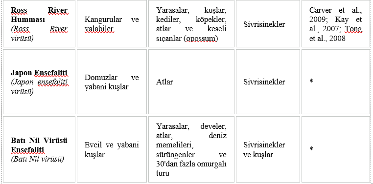 ekran-goruntusu-2026-07-05-200640-001.png