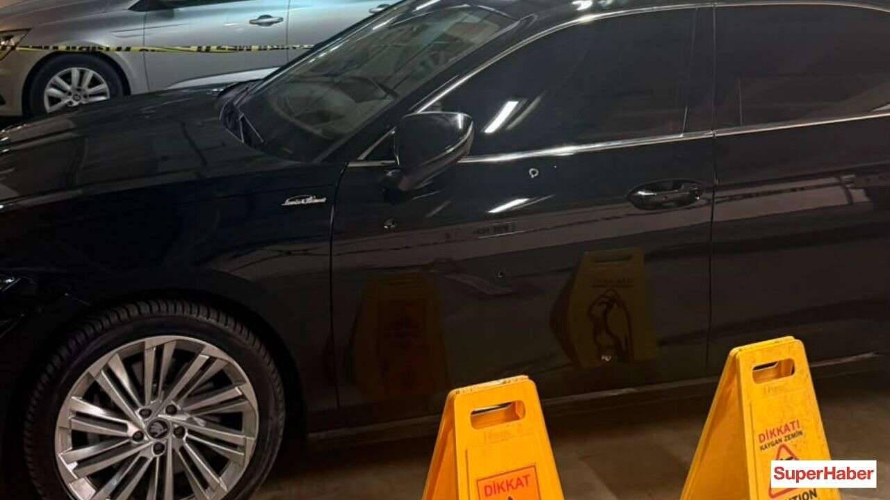 743042.jpg