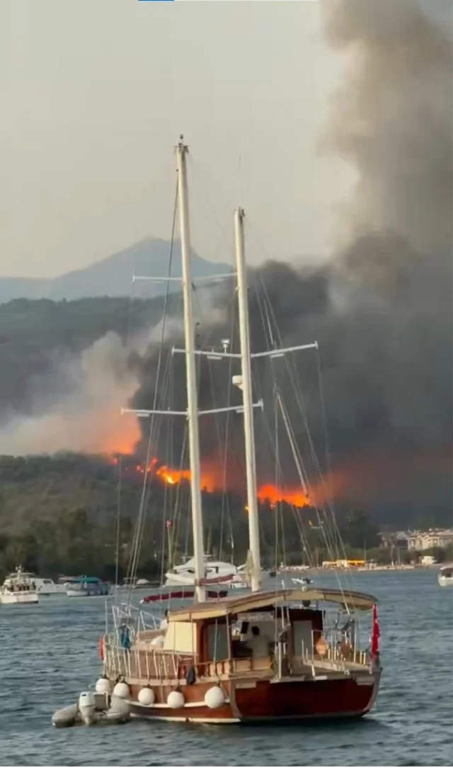 muglanin-fethiye-ilcesinde-orm-20185808-7062-1-m.webp
