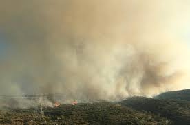 Çeşme'deki yangına havadan müdahale başladı - İzmir Haberleri