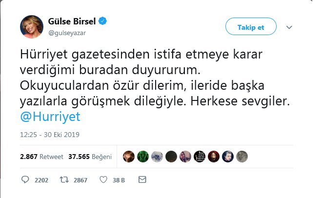screenshot-2019-10-31-gulse-birsel-on-twitter.png