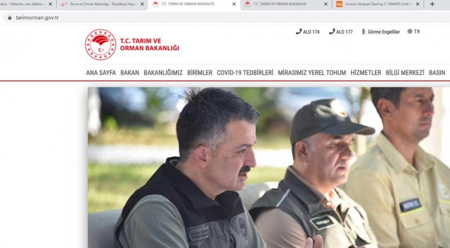 tarimbakanligisiberyangin5-001.jpeg